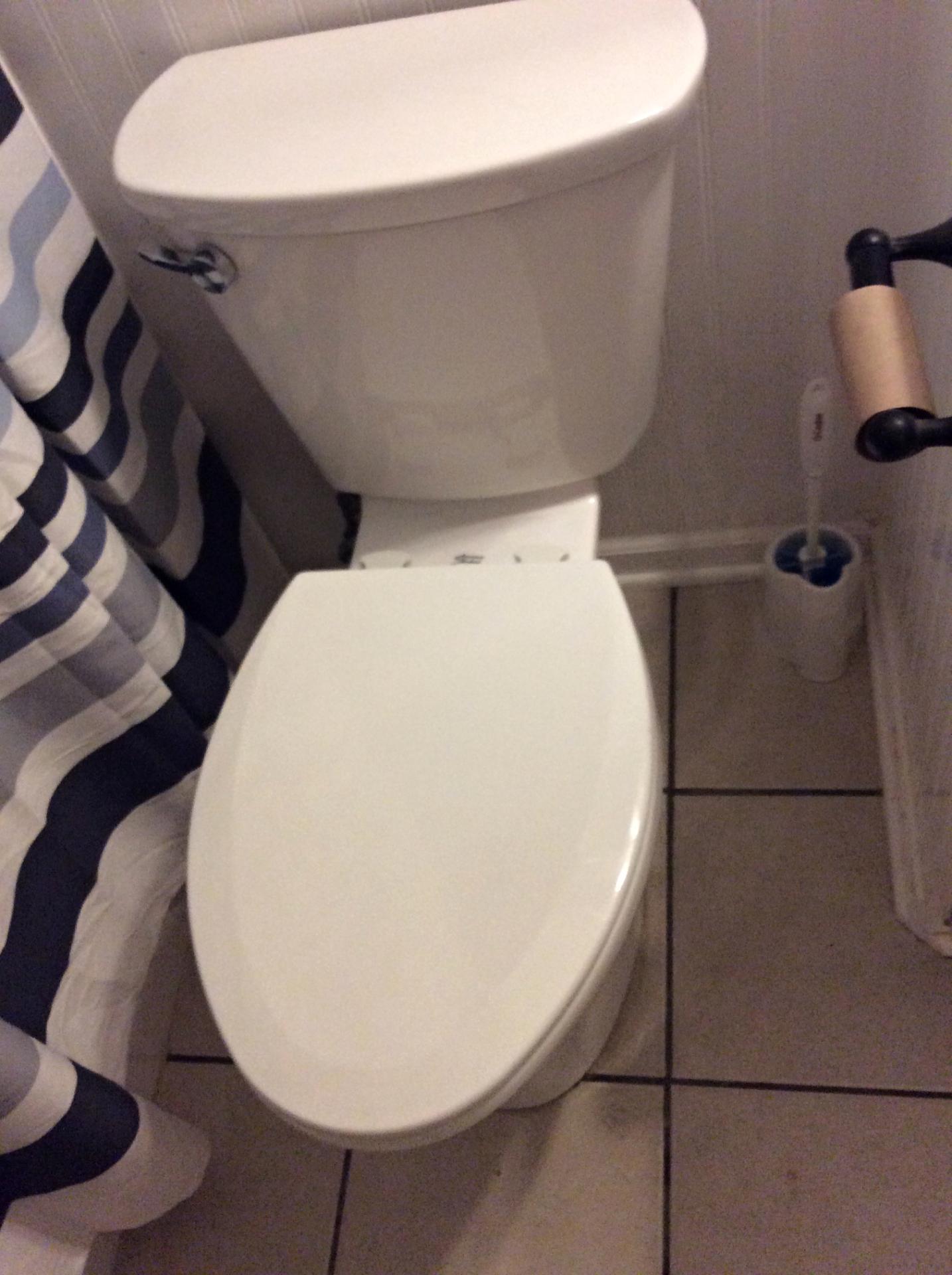 Toilet and Garbage Disposal Installed