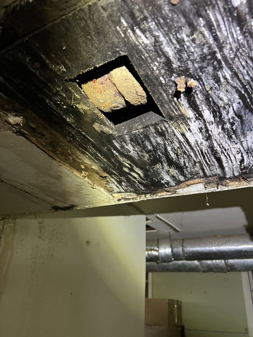 Drain and Vent Line Replaced Under a Bessemer Home – photo 5