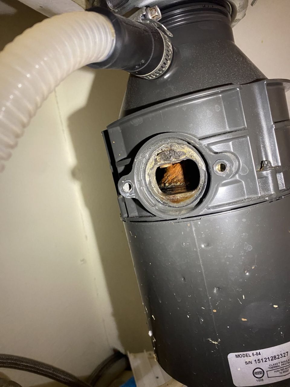 Clogged Garbage Disposal Drain Cleared