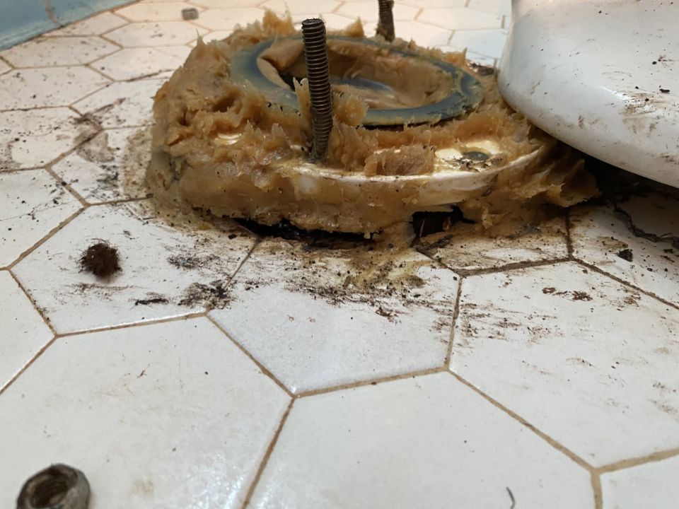 Toilet Flange Repaired and Toilet Installed – photo 2