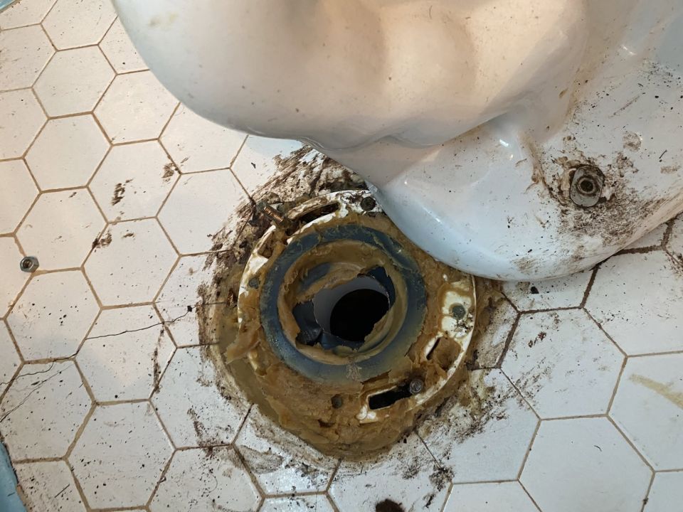 Toilet Flange Repaired and Toilet Installed – photo 3