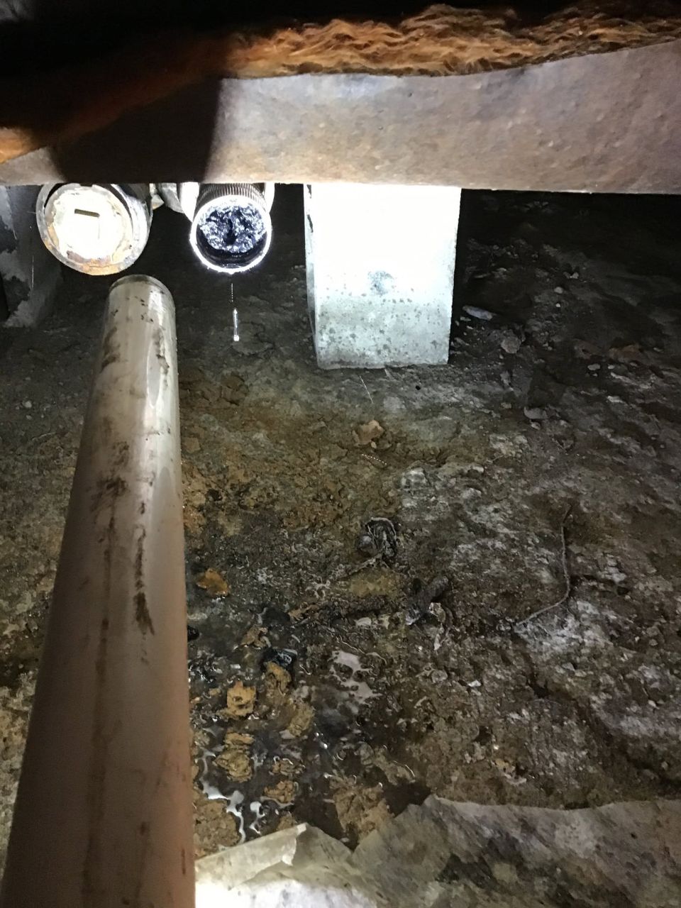 80 Feet of Cast Iron Replaced Under a Bessemer Home – photo 4