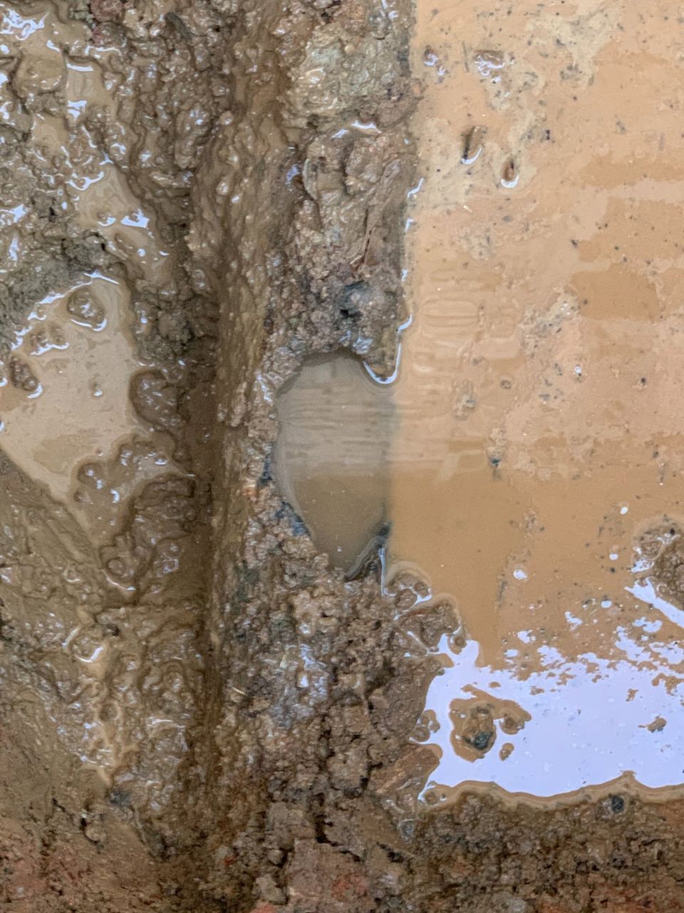 Camera Found a Hole in the 4-Inch Sewer Pipe – photo 2