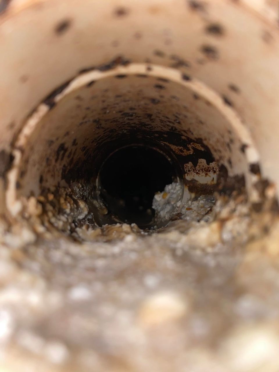 40 Feet of Drain Line Replaced – photo 4