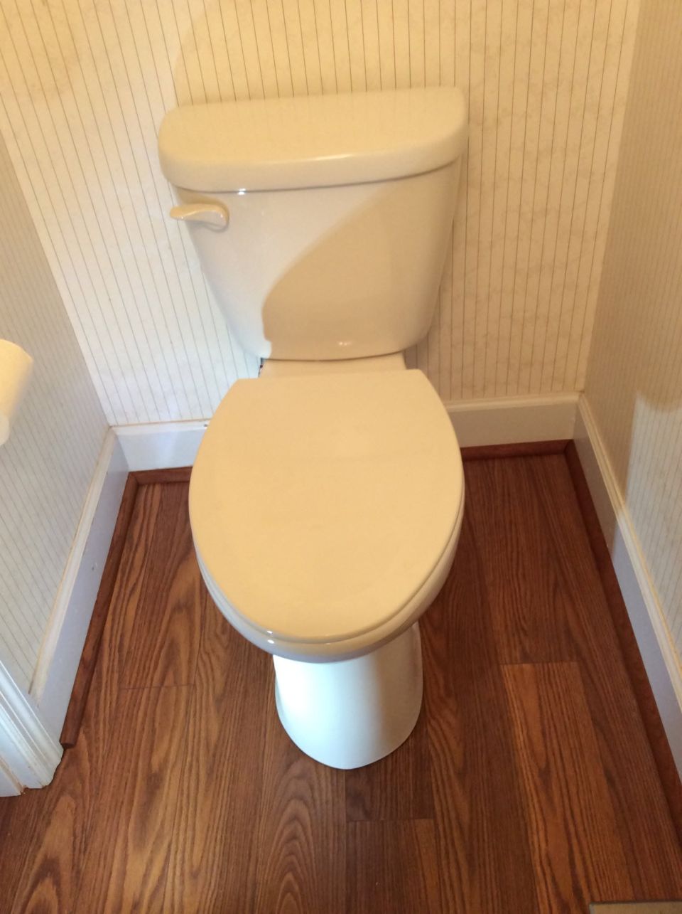 Toilet Flange Checked and Toilet Reset