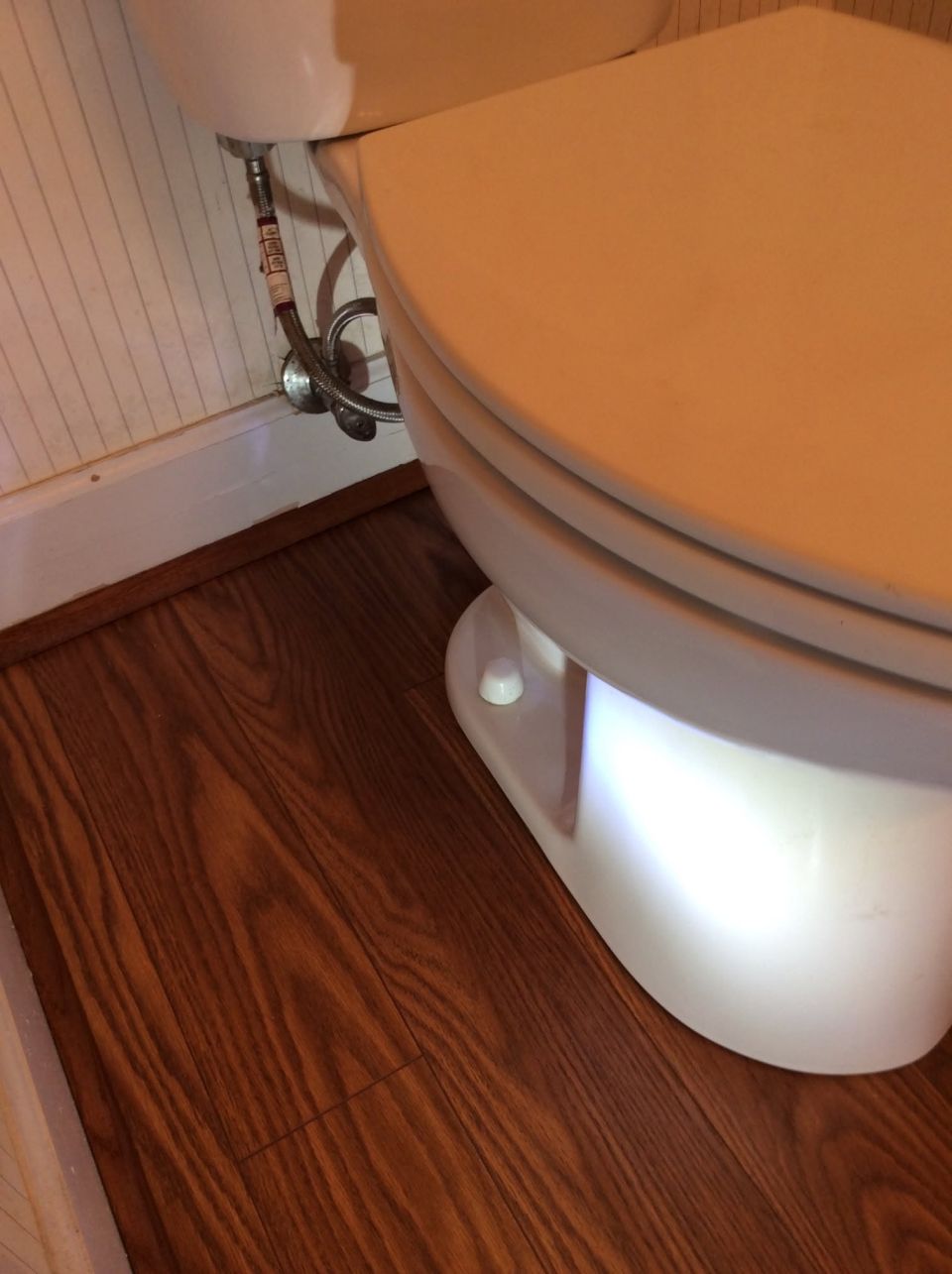 Toilet Flange Checked and Toilet Reset – photo 2