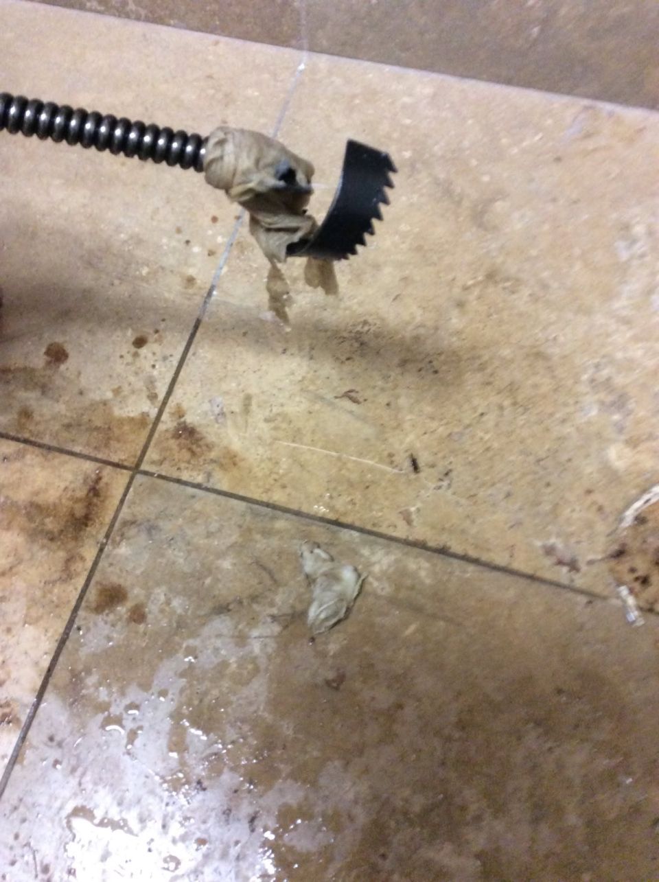 Sewer Backup in a Commercial Facility Cleared – photo 4