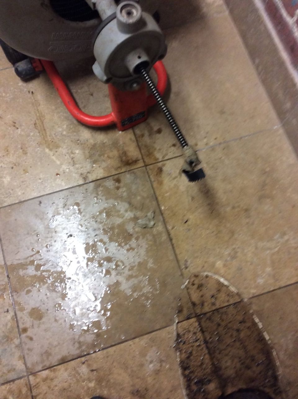 Sewer Backup in a Commercial Facility Cleared – photo 5